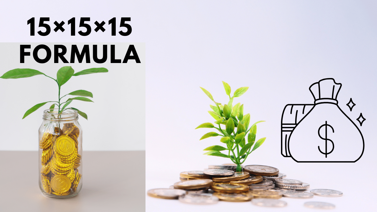 Long-term mutual fund investment